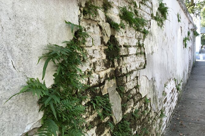 45-Minute Garden District Highlights Tour in New Orleans - Who should book this short walk