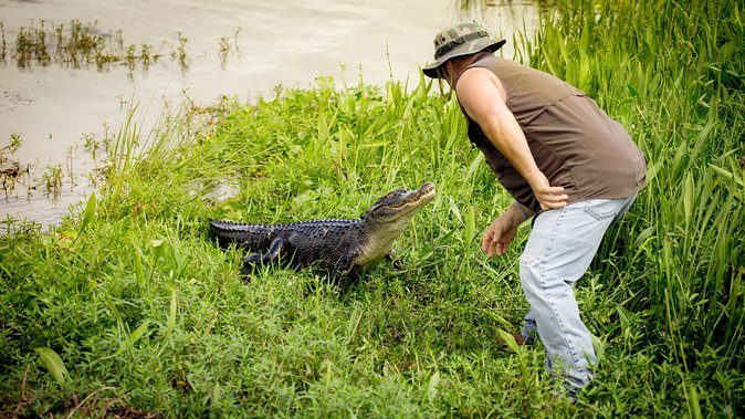 Airboat Ride with Transportation from New Orleans - What the airboat ride is really like