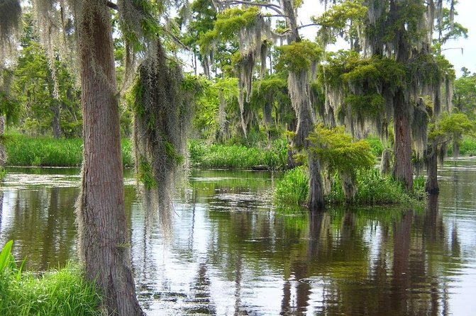 Airboat Swamp and Destrehan Plantation Tour from New Orleans - Airboat country near Paradis