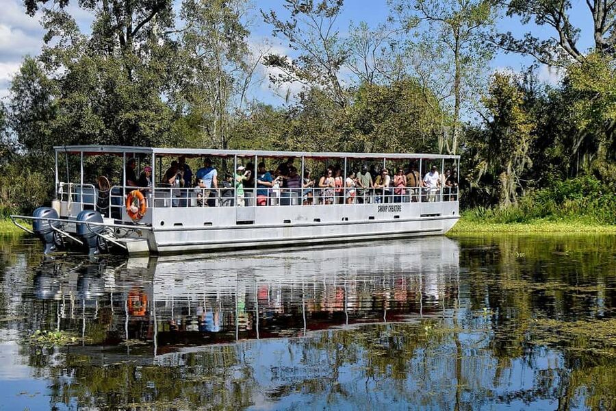 Alligator Swamp Tour by Gray Line New Orleans - From New Orleans to the Lafitte swamps