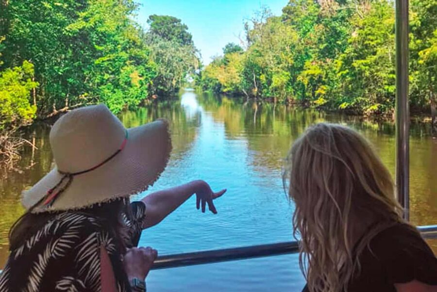 Alligator Swamp Tour by Gray Line New Orleans - Alligators, egrets, raccoons, and nutria