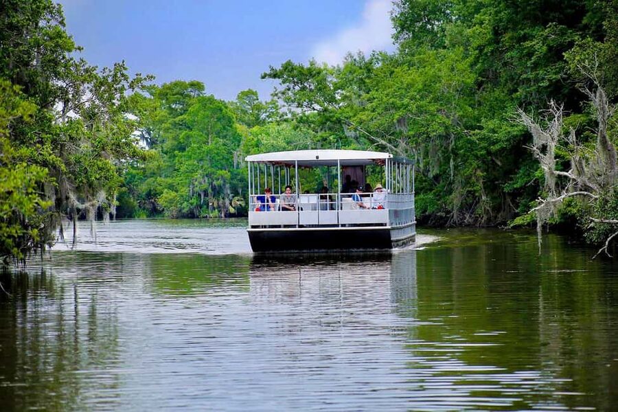 Alligator Swamp Tour by Gray Line New Orleans - Feeding the alligators and the feel of the tour