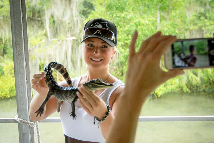 Alligator Swamp Tour by Gray Line New Orleans - Lafitte, Cajun life, and the disappearing wetlands
