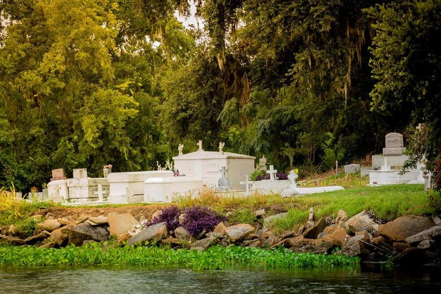 Alligator Swamp Tour by Gray Line New Orleans - Who will enjoy this swamp trip?