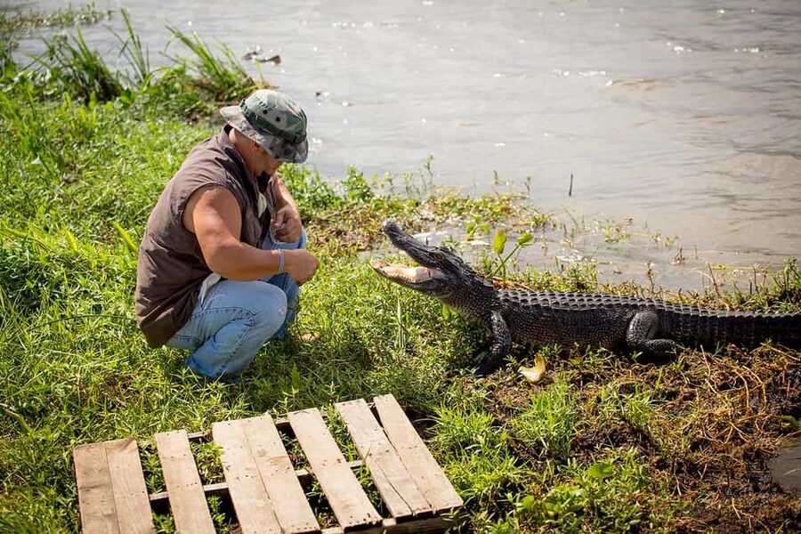 Alligator Swamp Tour by Gray Line New Orleans - What happens when you reach the dock