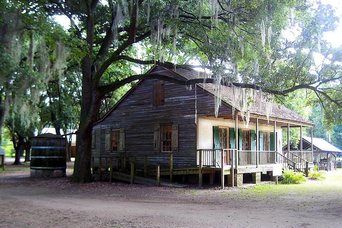 Destrehan Plantation and Large Airboat Tour from New Orleans - The transfer to Barataria swamp
