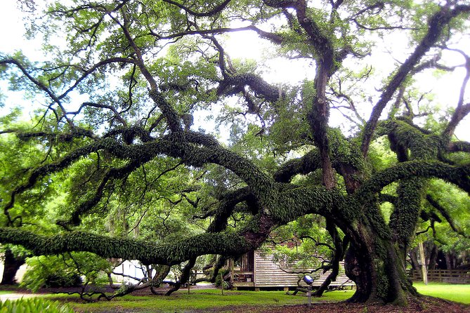 Destrehan Plantation Tour - Walking the Grounds Under the Oak Trees