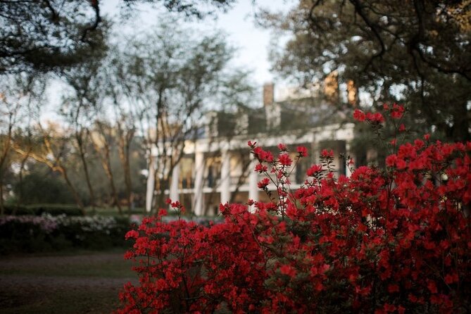 Explore Oak Alley Plantation Guided Tour with Transportation - Key points to know before booking