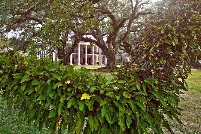Explore Oak Alley Plantation Guided Tour with Transportation - Is $80 a fair price?