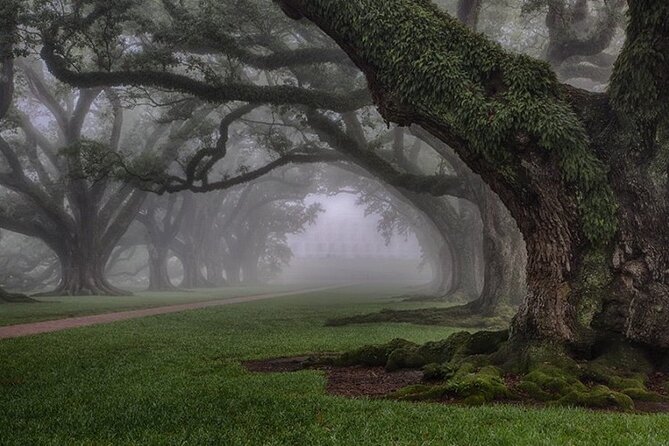 Explore Oak Alley Plantation Guided Tour with Transportation - Who will get the most from this tour?