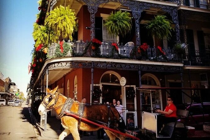 French Quarter Tour with Local Guide and Creole Stories - Why Creole stories change the French Quarter