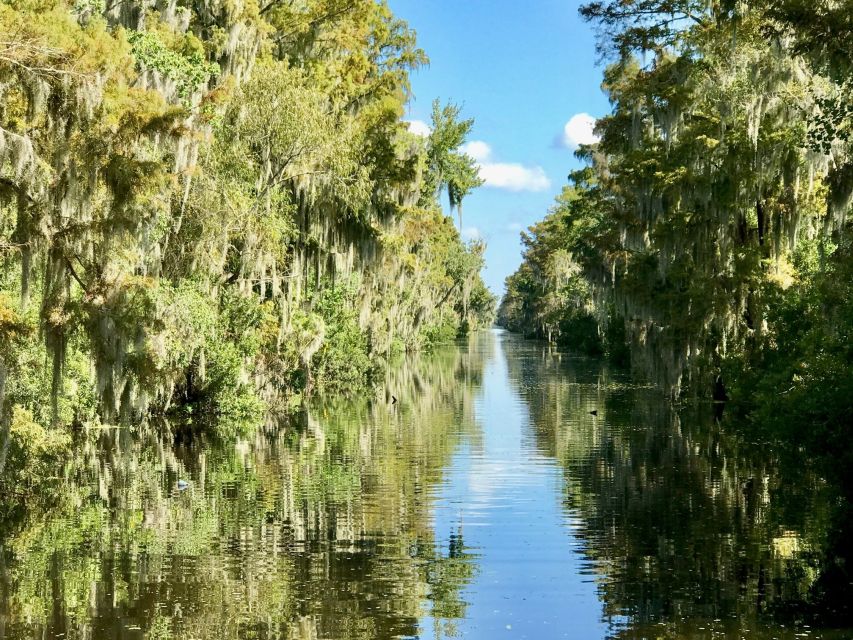 From Lafitte: Swamp Tours South of New Orleans by Airboat - Weather, comfort, and safety