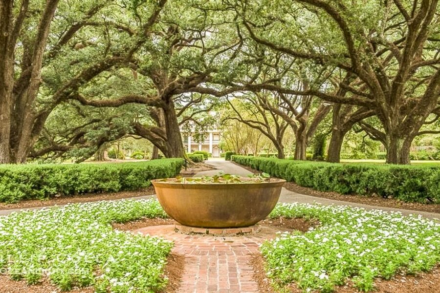 From New Orleans: Oak Alley Plantation Tour - The Ride from New Orleans to Vacherie