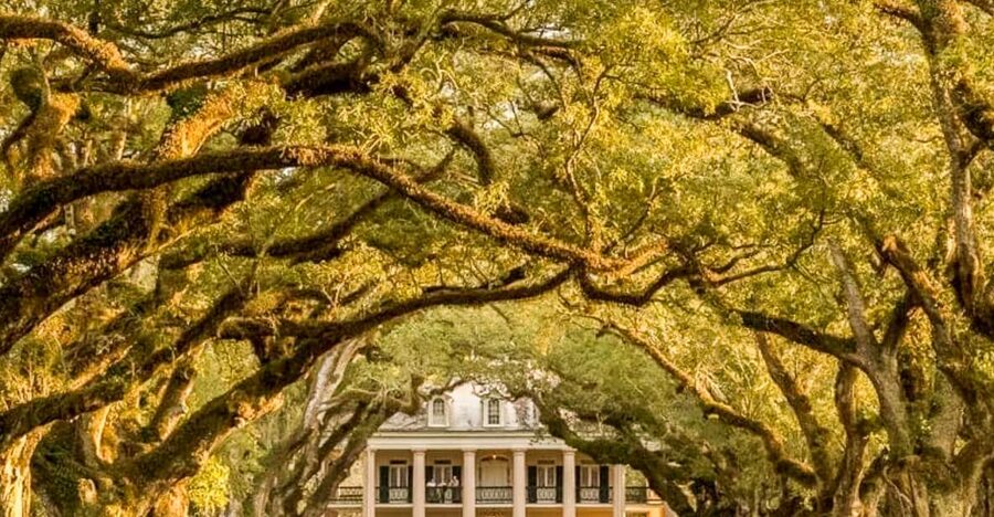 From New Orleans: Oak Alley Plantation Tour - Looking Beyond the Mansion