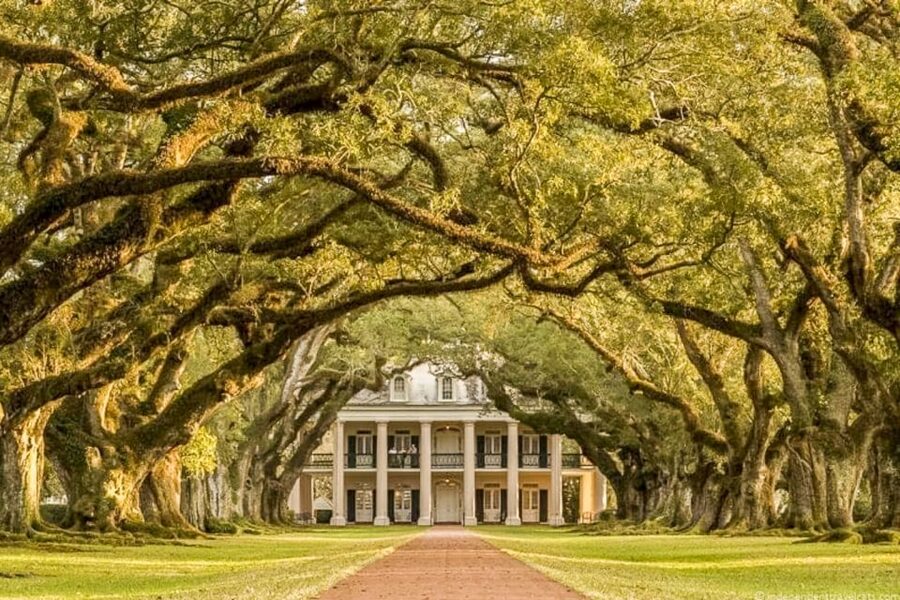 From New Orleans: Oak Alley Plantation Tour - Who Will Enjoy This Tour Most