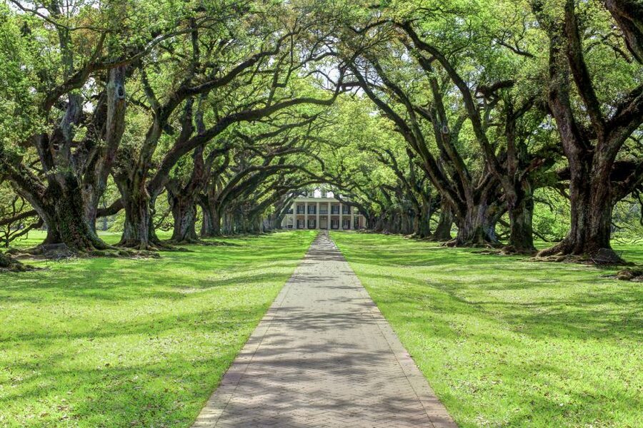 From New Orleans: Oak Alley Plantation Tour - FAQ