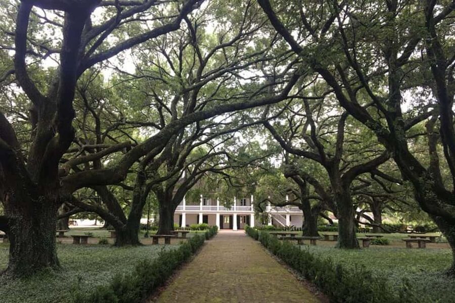 From New Orleans: Whitney Plantation and Airboat Tour Combo - Key points to know before you book