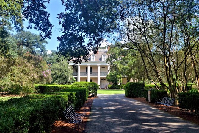 Full-Day Oak Alley Plantation & Airboat Swamp w/Transfer - Who should book this day?