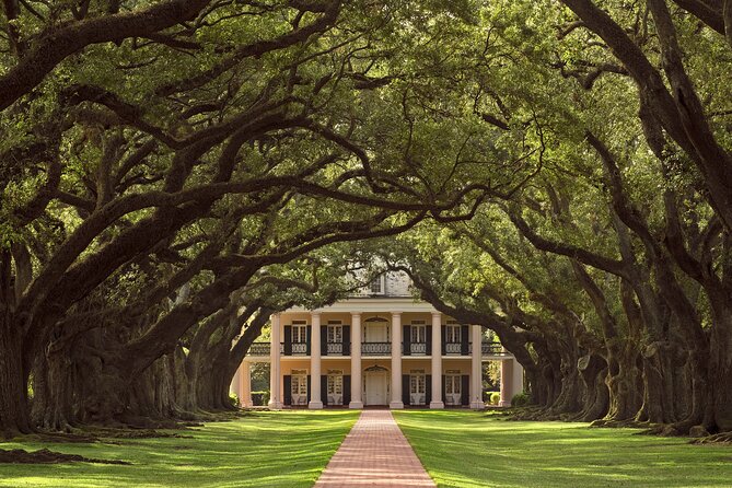 Full Day Plantation and Swamp Tour in New Orleans - Oak Alley’s oaks and the work behind the beauty