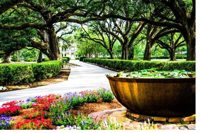 Garden District History and Homes Walking Tour - Key points to know before booking