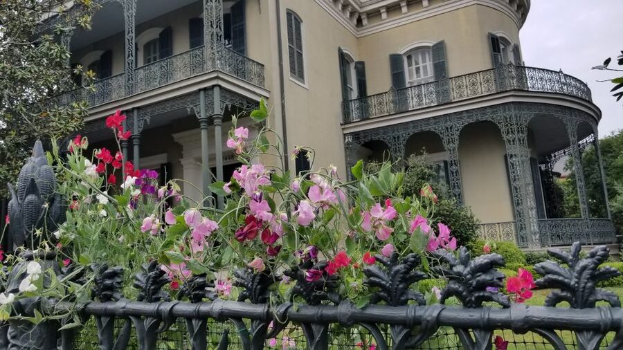 Glamorous Garden District Tour - Magazine Street and an Old Social Divide