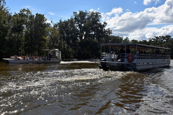 Guided Boat Tour of New Orleans Bayou - The 20,000-acre cypress swamp by boat