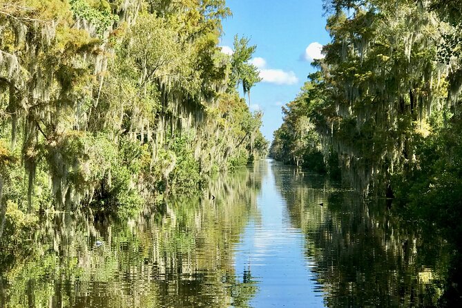 Guided Boat Tour of New Orleans Bayou - Why the $35 price can make sense