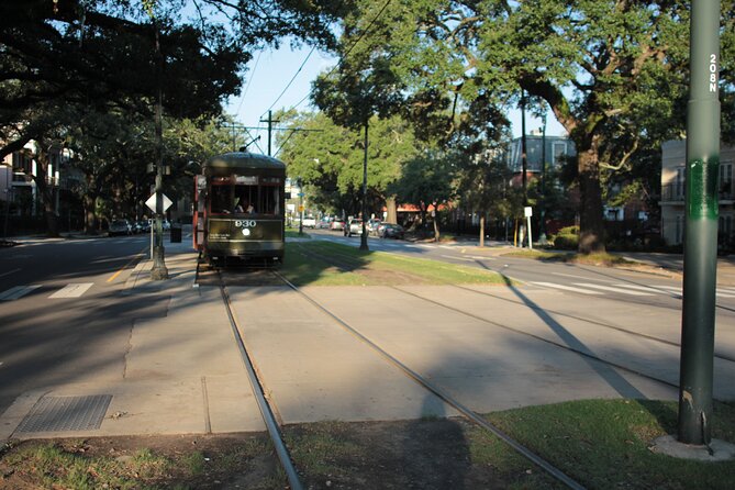 Historic Garden District Walking Tour - Who should book this Garden District walk?