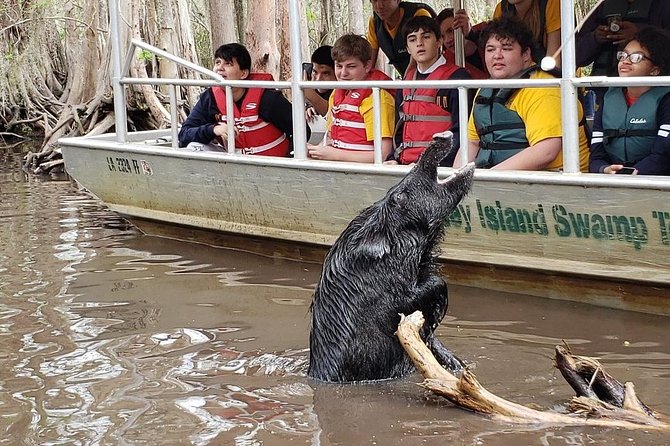 Honey Island Swamp Boat Tour - Who will enjoy this Honey Island trip most