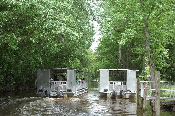 Jean Lafitte 90-Minute Swamp and Bayou Boat Tour - A pontoon boat rather than an airboat