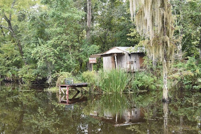 Jean Lafitte 90-Minute Swamp and Bayou Boat Tour - The important question: is it a real swamp tour?