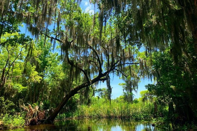 Large Airboat Swamp Tour with Transportation from New Orleans - Two hours on a 454 Chevy-powered airboat