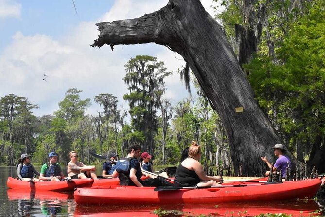 Manchac Swamp Extended 4-Hour Kayak Tour with Pickup - Key points to know before booking