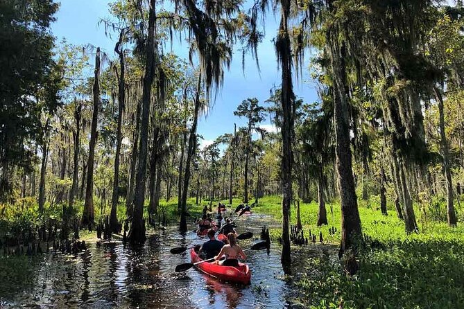 Manchac Swamp Extended 4-Hour Kayak Tour with Pickup - Why four hours in Manchac Swamp matters