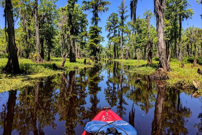Manchac Swamp Extended 4-Hour Kayak Tour with Pickup - Getting onto the water