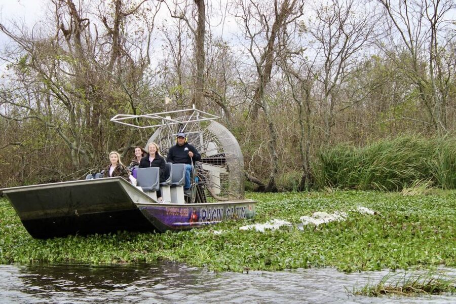 New Orleans: 10 Passenger Airboat Swamp Tour - Booking details worth checking first