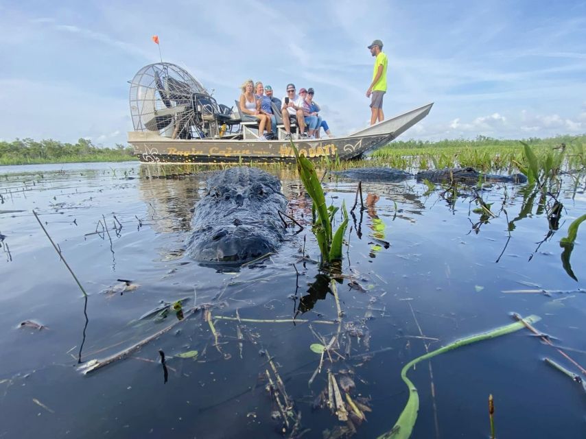 New Orleans: 10 Passenger Airboat Swamp Tour - What the 90 to 150 minutes feels like