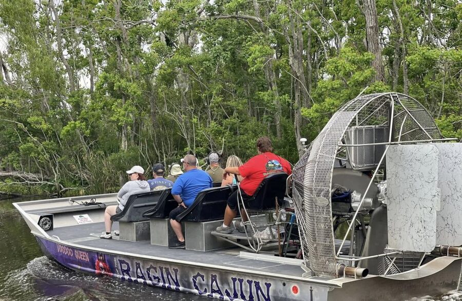 New Orleans: 10 Passenger Airboat Swamp Tour - Is the $85 price good value?