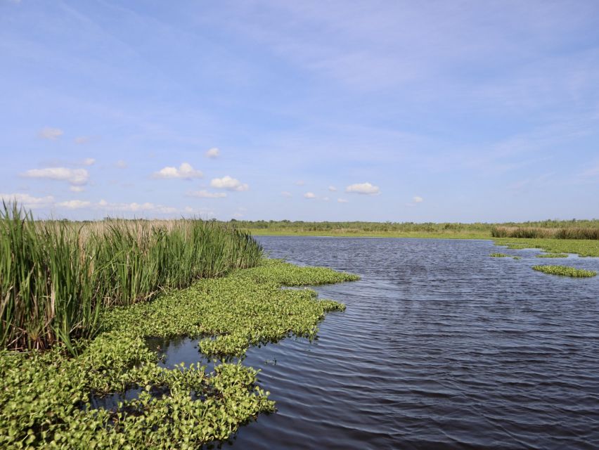 New Orleans: 16 Passenger Airboat Swamp Tour - What the Private Property Adds