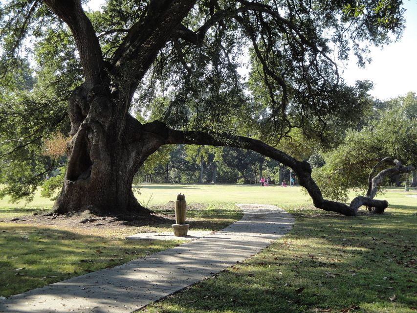 New Orleans: 2-Hour 15-Minute City and Cemetery Tour by Bus - What this 135-minute New Orleans tour is really for