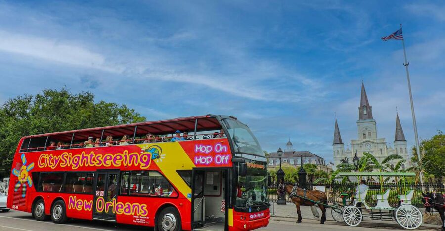 New Orleans: 2 or 3 Day Hop-On Hop-Off Bus with Walking Tour - Practical details that can shape your day