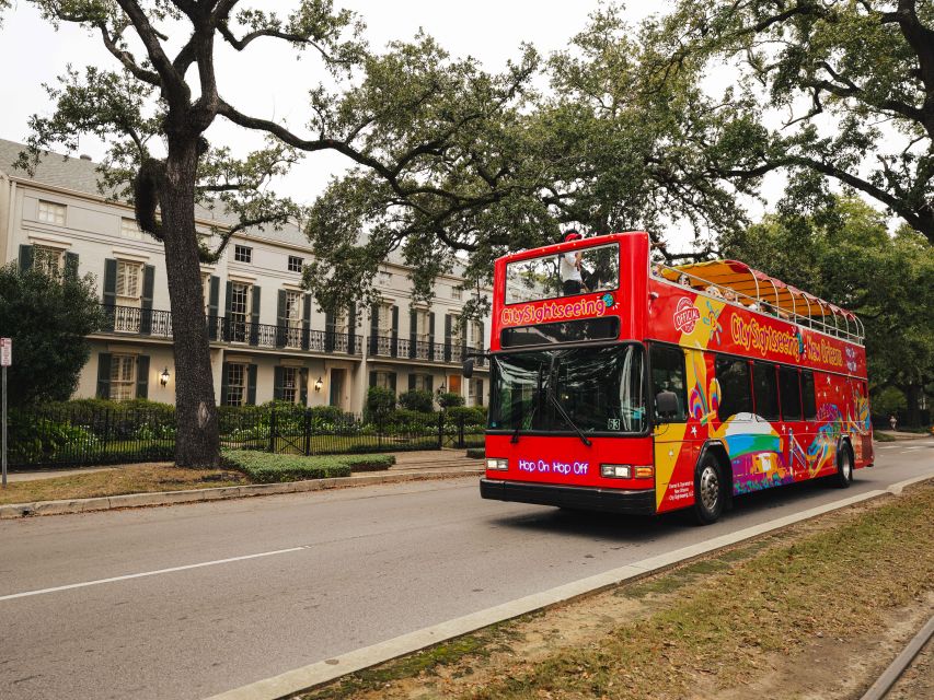 New Orleans: 2 or 3 Day Hop-On Hop-Off Bus with Walking Tour - What the New Orleans bus tour is really like