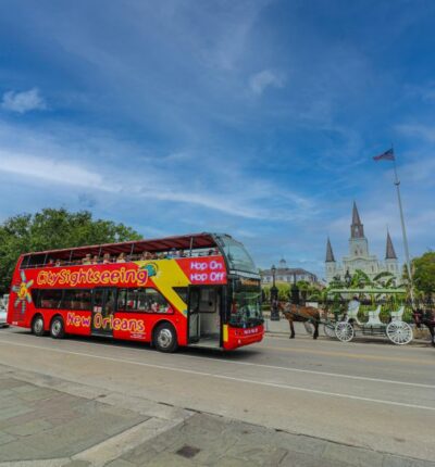 2 or 3 Day Hop-On Hop-Off Bus with Walking Tour