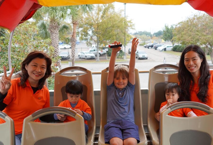 New Orleans: 2 or 3 Day Hop-On Hop-Off Bus with Walking Tour - Downtown, the Superdome, and the National WWII Museum