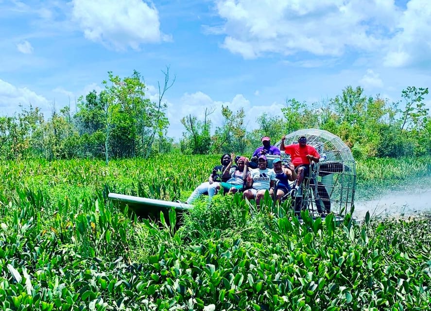 New Orleans: 6 Passenger Premium Airboat Swamp Tour - Birds, raccoons, wild pigs, and quieter sightings