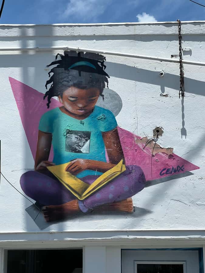 New Orleans: 9th Ward Hurricane Katrina History Tour - Why the small group changes the experience