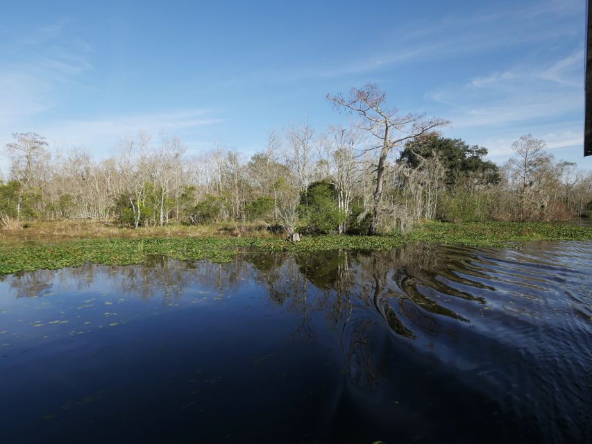 New Orleans: Airboat or Pontoon Boat Cruise with Transfers - Key points to know before you book