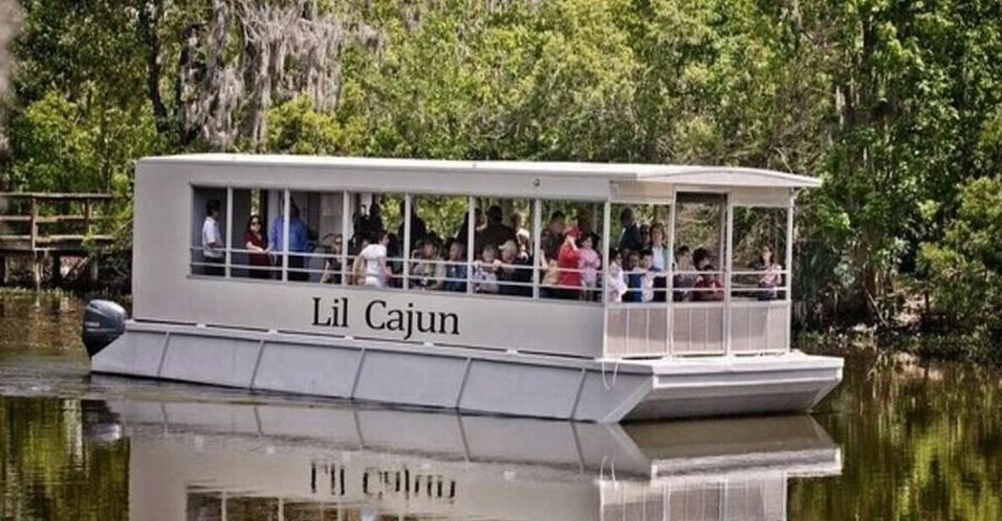 New Orleans: Airboat or Pontoon Boat Cruise with Transfers - Alligators, nutria, and native birds