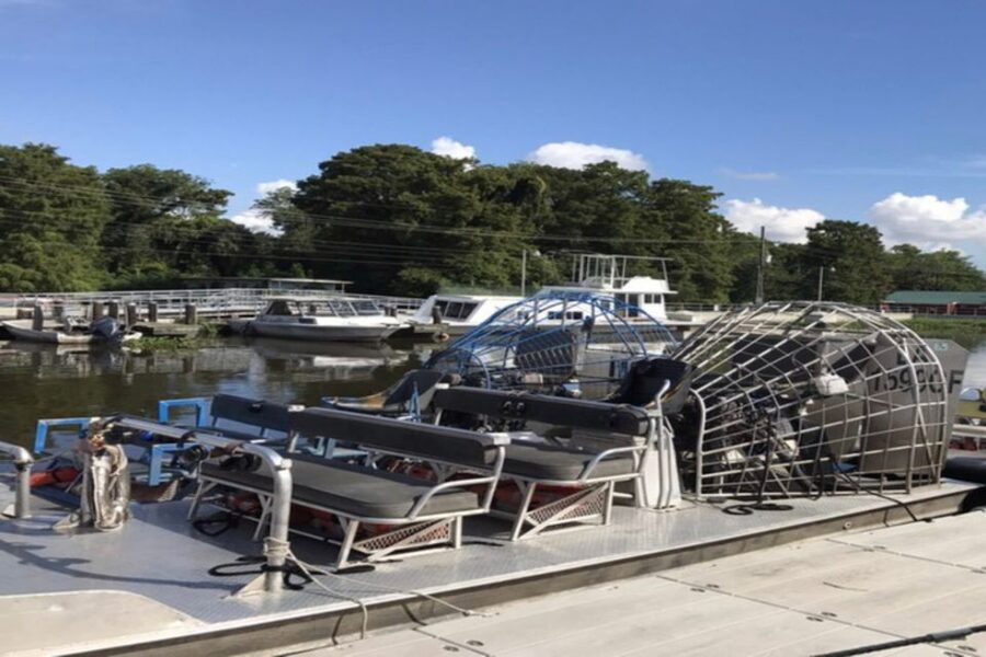 New Orleans: Airboat or Pontoon Boat Cruise with Transfers - Choosing between a pontoon boat and an airboat