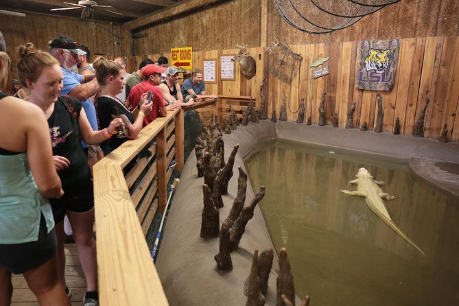 New Orleans Airboat Ride - What to wear and bring for an open-air ride